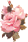 Light Pink Rose